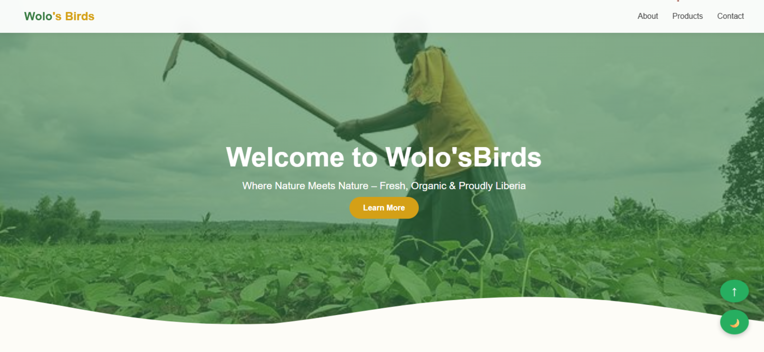 Wolo's Birds Documentation Portal